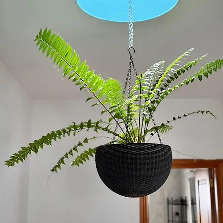 Dom wakacyjny Royal *